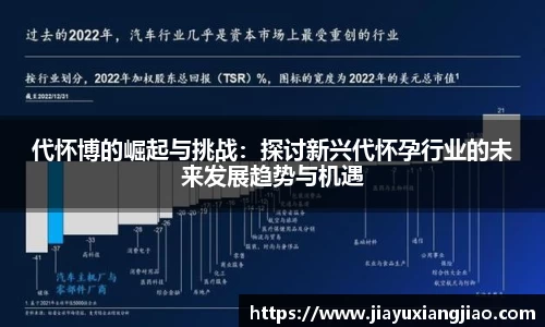 代怀博的崛起与挑战：探讨新兴代怀孕行业的未来发展趋势与机遇